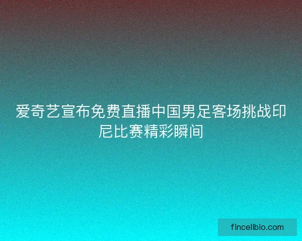 爱奇艺宣布免费直播中国男足客场挑战印尼比赛精彩瞬间