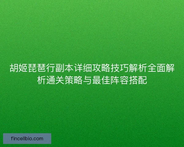 胡姬琵琶行副本详细攻略技巧解析全面解析通关策略与最佳阵容搭配