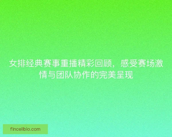 女排经典赛事重播精彩回顾，感受赛场激情与团队协作的完美呈现